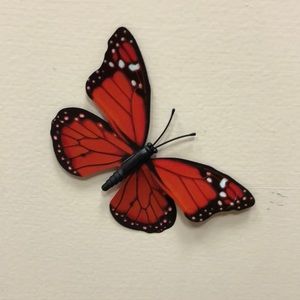 Meet your Posher, Jenny